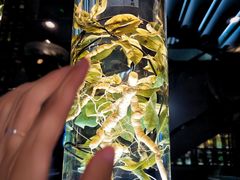 -广东中医药博物馆
