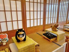 -豆柴町-柴犬主题狗咖(红鼎国际C座店)