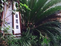 -杭州第一世界大酒店·云曼温泉
