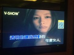 -V SHOW max KTV(粉巷店)