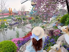 -荷兰花海
