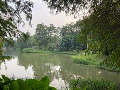 -中国科学院华南植物园