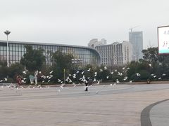 -合肥融创乐园