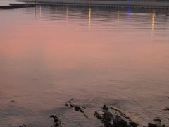 -上海市保健医疗中心