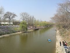 -赵州桥景区