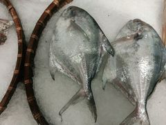 -荣小馆(温州智慧谷店)
