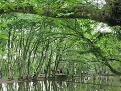 -西溪南古村落景区