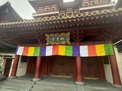 -新加坡佛牙寺龙华院