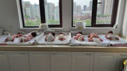 -海豚湾高端月子会所(黄浦店)