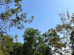 -火炉山森林公园