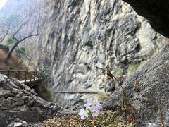 -苍山世界地质公园·石门关大峡谷