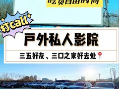 -枫花园汽车电影院(朝阳公园店)