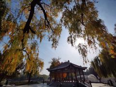-达活泉公园