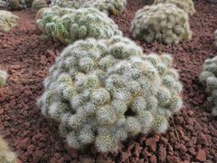 -南通洲际绿博园