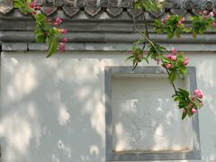 -海棠花溪(元大都城垣遗址公园)