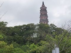 -顺峰山公园