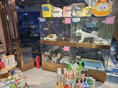 -FAELING PETS美天灵宠物(富力广场店)
