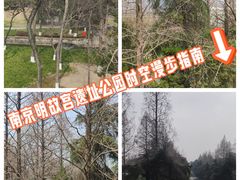 -明故宫遗址公园