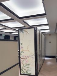 -云南吴氏嘉美医疗美容医院