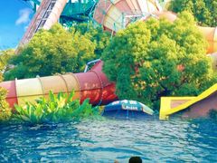 -苏州乐园森林水世界