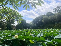 -广州莲花山旅游区