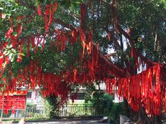 -黄埔古港