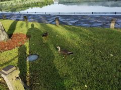 -知味观(湖滨总店)