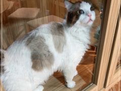 -白兔子密室(长寿路店)