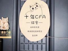 -Bastet sally猫舍购宠(静安店)