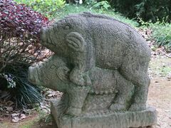 -千岛湖东南湖区