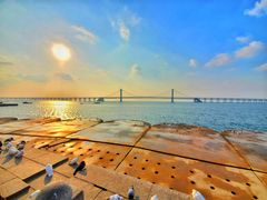 -星海湾跨海大桥