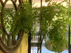 -花蒲甜品(海信广场店)