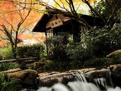 -中国茶叶博物馆(双峰馆区)