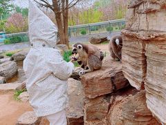 -秦皇岛野生动物园
