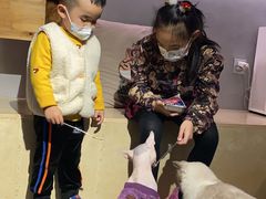 -more than meow吴止猫主题餐厅(承德 中船汇店)