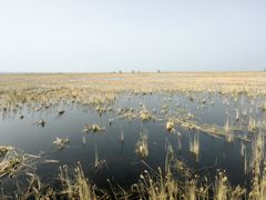 -野鸭湖国家湿地公园