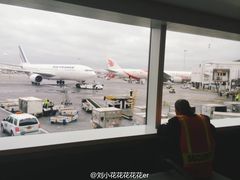 -约翰·菲茨杰拉德·肯尼迪国际机场