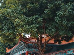 -广东圆玄道观