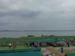 -七的湖·晚芳亭·阳澄湖农家菜·大闸蟹(莲花岛店)