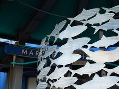 -海底巡游艇:尼莫和好友的海洋世界