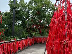 -帽儿山国家森林公园