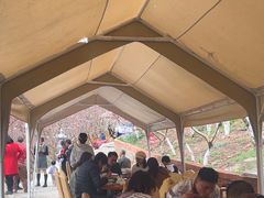-正宗火盆自助烧烤·烤全羊·柴火鸡(龙泉山店)