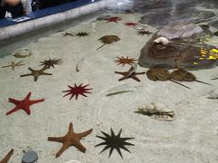 -福州罗源湾海洋世界旅游区