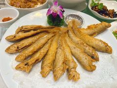 -金米箩大酒店(五角场店)