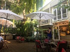 -Fern Forest Cafe