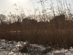 -郭守敬纪念馆