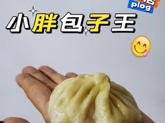 猪肉大葱包-小胖包子王(光明楼店)
