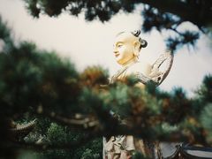-上海东林寺(金山区)