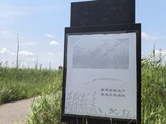 -盐城丹顶鹤湿地生态旅游区