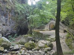 -牛背梁国家森林公园